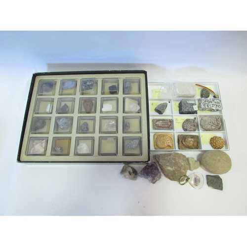 1277 - A collection of semi-precious stones and crystals, fossils etc to include quartz, topaz, rhodonite a... 