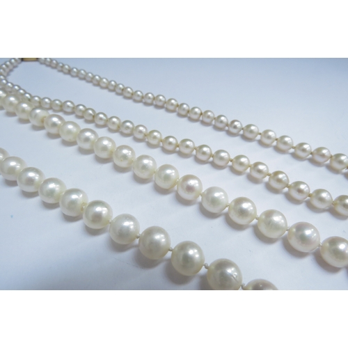 7095 - Two single strand pearl necklaces, 44cm long with 9c clasp and 46cm long