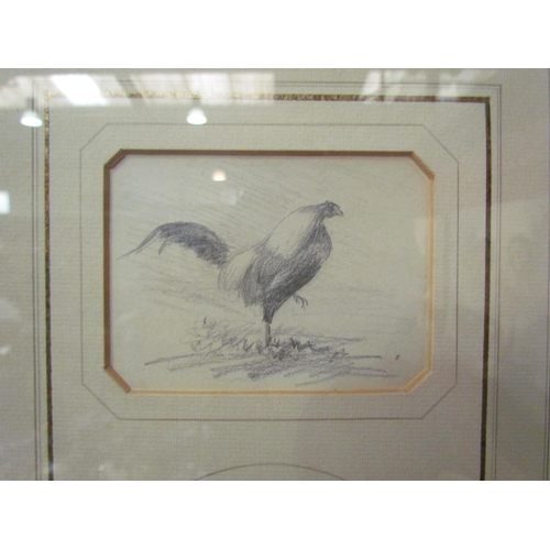 4081 - George Thomas Rope (British 1846-1924): Three sketches of chickens/ducks, framed and glazed as one, ... 