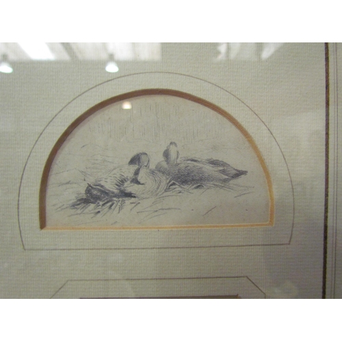 4081 - George Thomas Rope (British 1846-1924): Three sketches of chickens/ducks, framed and glazed as one, ... 