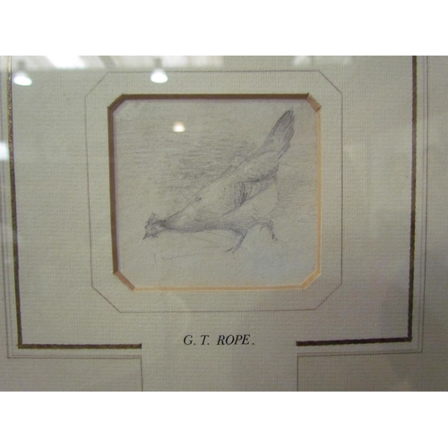 4081 - George Thomas Rope (British 1846-1924): Three sketches of chickens/ducks, framed and glazed as one, ... 