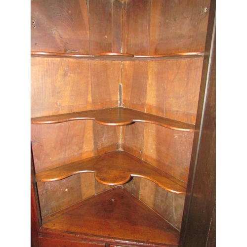 4126 - A George III oak single door corner cupboard with two base drawers, 122cm tall x 76cm wide x 41cm de... 