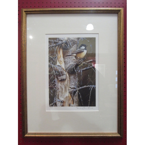 4094 - TERENCE JAMES BOND (b.1946) A framed and glazed limited edition print - 'Coal Tit'. Pencil signed an... 