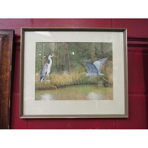 4157 - A watercolour depicting cranes on rivers edge, indistinctly signed lower right, framed and glazed, 2... 