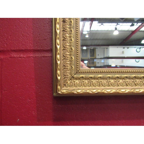 4176 - An ornate gilt framed bevel edged rectangular wall mirror, 70cm x 130cm total