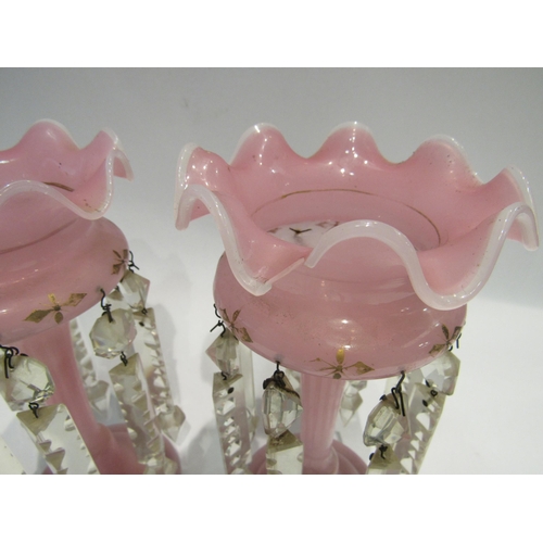 4178 - A pair of pink glass lustres, wavy rim, 25cm tall, gilt highlights