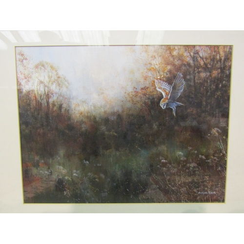 4287 - RICHARD COOK: An acrylic of Hunting Barn Owl, signed lower right, framed and glazed, 30cm x 39cm