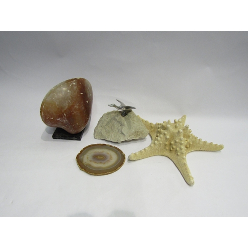 4515 - A soapstone model of a clam shell, sea starfish shell, pewter gull on rock etc (4)   (E) £10-20