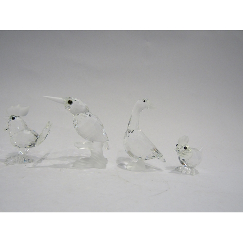 4550 - A collection of Swarovski bird figures. Pecan bird a/f (7)