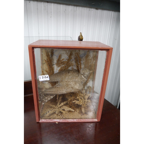 2154 - A Victorian cased taxidermy of a cuckoo