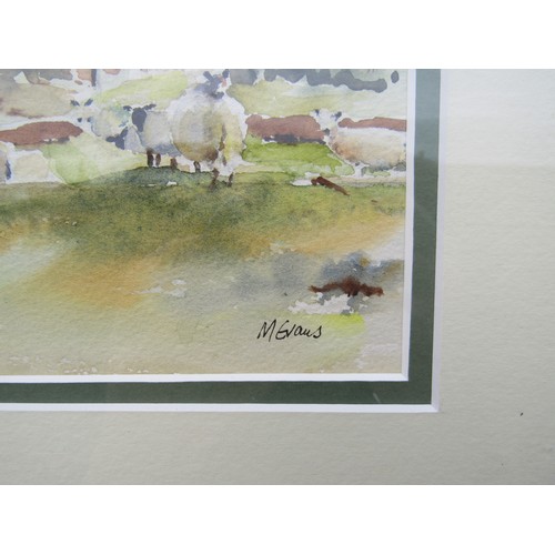 1058 - M.EVANS: An original watercolour of sheep in a rural landscape, signed lower right. Framed and glaze... 