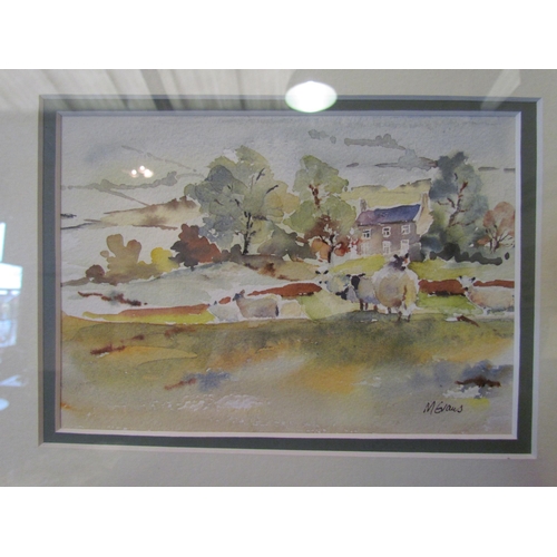 1058 - M.EVANS: An original watercolour of sheep in a rural landscape, signed lower right. Framed and glaze... 