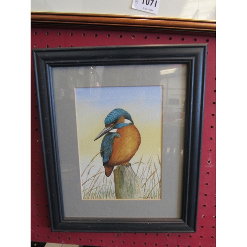 1071 - JOHN DOLTON: A watercolour of a Kingfisher, signed and dated '89 lower right, 18cm x 13cm image size... 