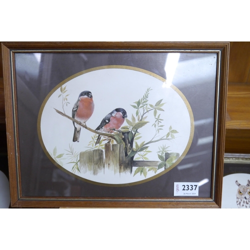 2308 - Three Birds prints to include, long eared owl, pair of Finches on branch, all framed and glazed     ... 