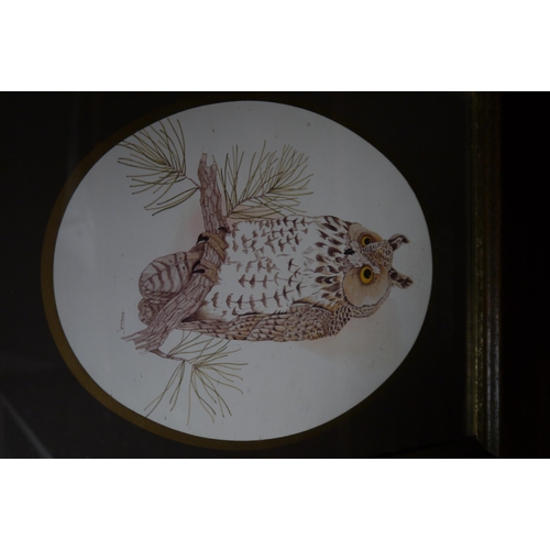 2308 - Three Birds prints to include, long eared owl, pair of Finches on branch, all framed and glazed     ... 