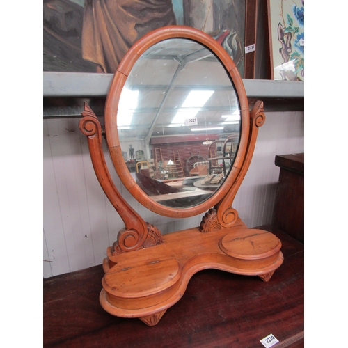 2229 - A Victorian mahogany toilet mirror twin compartments