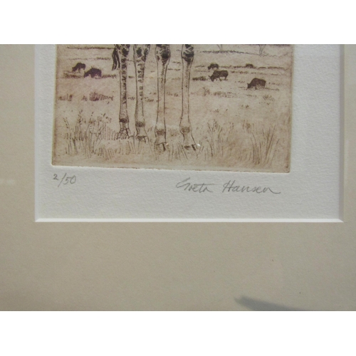 4081 - A Greta Hansen limited edition etching of young giraffe, pencil signed and numbered 2/50, framed and... 