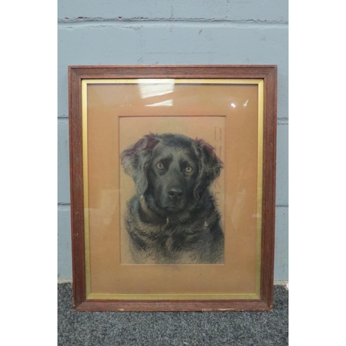 1070 - NELLIE FADDEN (1885-1920): Chalk image depicting a black Labrador with sad eyes entitled 