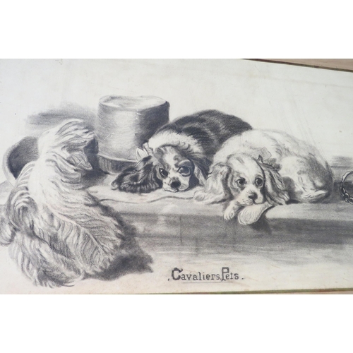 1154 - After Landseer - a charcoal drawing of dogs, signed H.M. Smith bottom right and dated 1905, framed, ... 