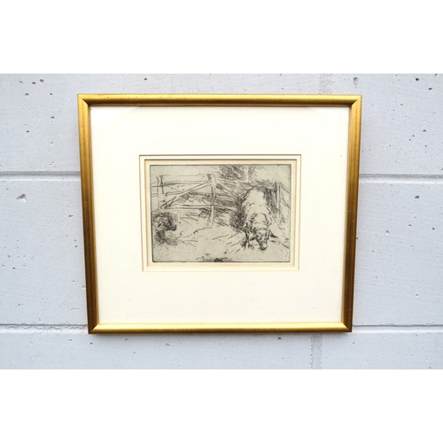 6061 - A framed and glazed lithograph after Harry Becker (1865-1928) Sheep in a pen. Unsigned. Plate size 1... 