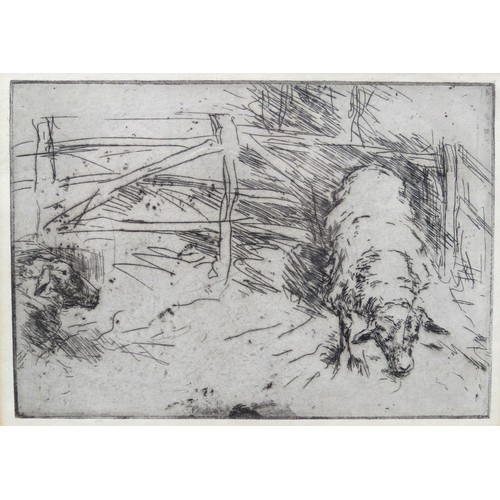 6061 - A framed and glazed lithograph after Harry Becker (1865-1928) Sheep in a pen. Unsigned. Plate size 1... 