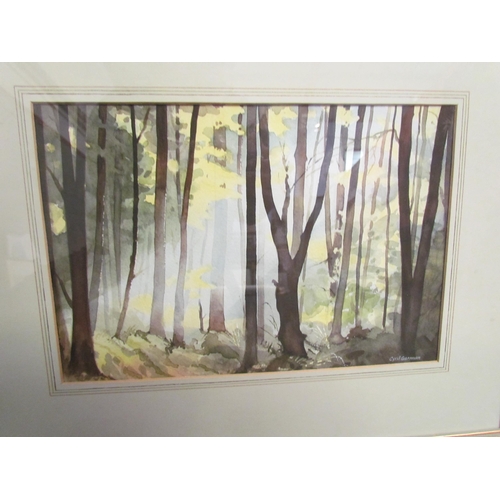 1045 - CYRIL GARMAN: A watercolour depicting sunlight through trees, signed lower right, 17.5cm x 26cm imag... 