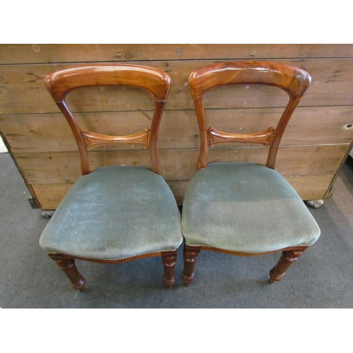 1116 - A set of six Victorian mahogany dining chairs, velour upholstery, turned front legs. All a/f    (E) ... 