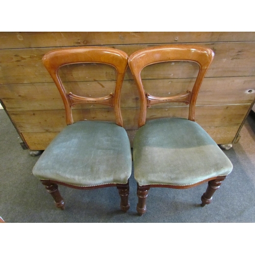 1116 - A set of six Victorian mahogany dining chairs, velour upholstery, turned front legs. All a/f    (E) ... 