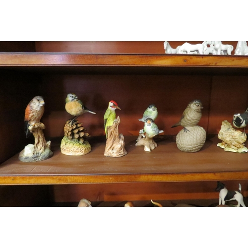 4033 - Eleven bird figures to include bisque Wagtail, Woodpecker, Finches and Thrush etc.  (E)  £15-20