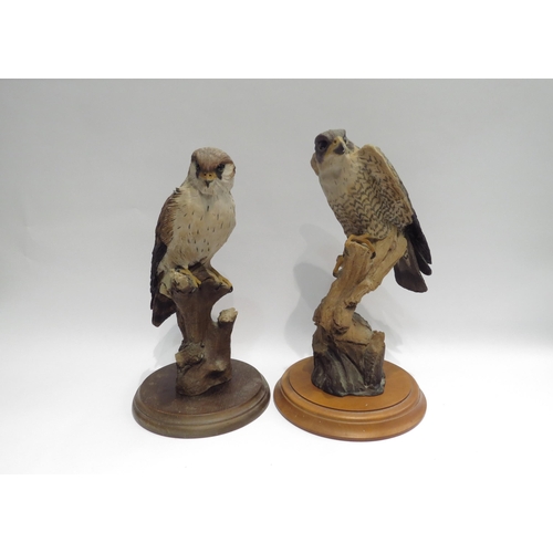 4082 - A resin figure of a Sparrow Hawk, 31cm tall, and a similar figure (2)  (E)  £20-30