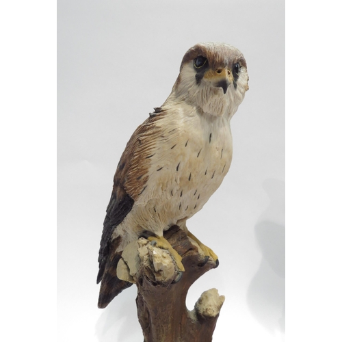 4082 - A resin figure of a Sparrow Hawk, 31cm tall, and a similar figure (2)  (E)  £20-30