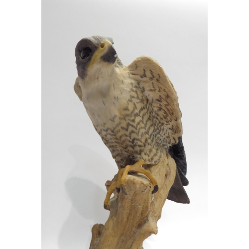 4082 - A resin figure of a Sparrow Hawk, 31cm tall, and a similar figure (2)  (E)  £20-30