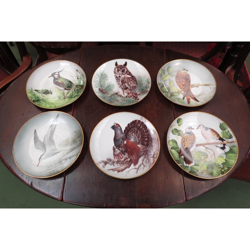 4099 - Twelve Franklin Porcelain collectors plates each depicting bird specimens to include 