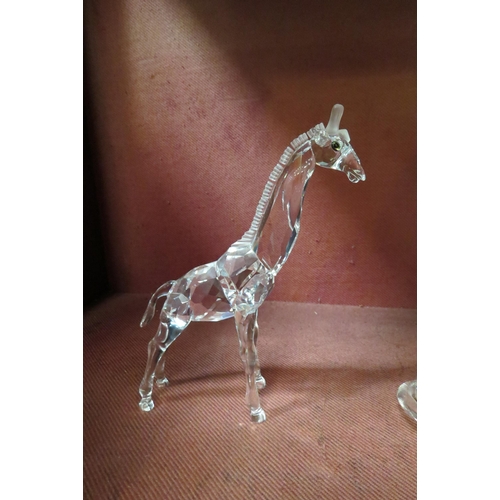 4111 - Four Swarovski crystal animal figures, Lion, Giraffe, Camel and Leopard (a/f), all boxed