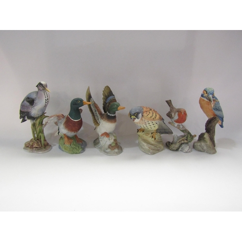 4239 - Six Acorn Collection bird figures to include 