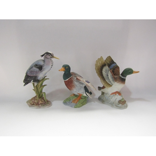 4239 - Six Acorn Collection bird figures to include 