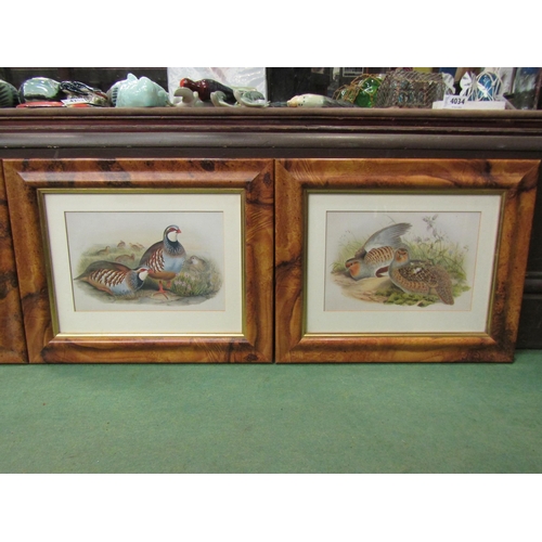 4245 - Four game bird prints in faux maple wood frames, glazed, 16.5cm x 25cm