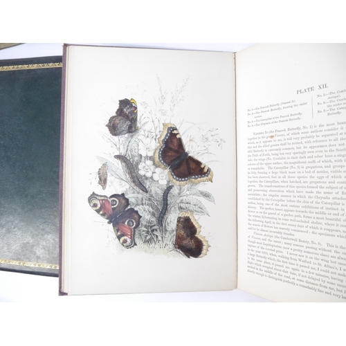 9406 - (Butterflies & Moths, Lepidoptera.) Henry Noel Humphreys: 'The Genera and Species of British Butterf... 