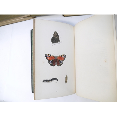 9406 - (Butterflies & Moths, Lepidoptera.) Henry Noel Humphreys: 'The Genera and Species of British Butterf... 