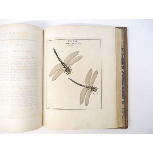 9407 - (Insects.) Moses Harris: 'Exposition of English Insects, Including the Several Classes of Neuroptera... 