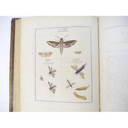 9407 - (Insects.) Moses Harris: 'Exposition of English Insects, Including the Several Classes of Neuroptera... 