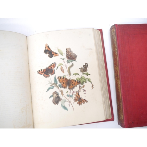 9398 - (Butterflies & Moths, Lepidoptera.) John Obadiah Westwood & Henry Noel Humphreys: 'British Butterfli... 