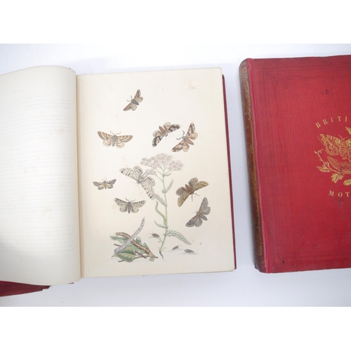 9398 - (Butterflies & Moths, Lepidoptera.) John Obadiah Westwood & Henry Noel Humphreys: 'British Butterfli... 