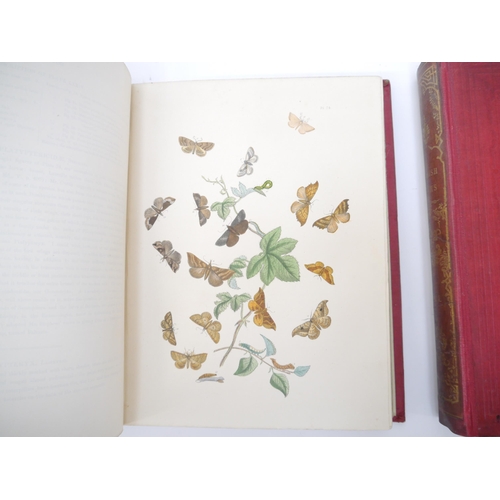 9398 - (Butterflies & Moths, Lepidoptera.) John Obadiah Westwood & Henry Noel Humphreys: 'British Butterfli... 