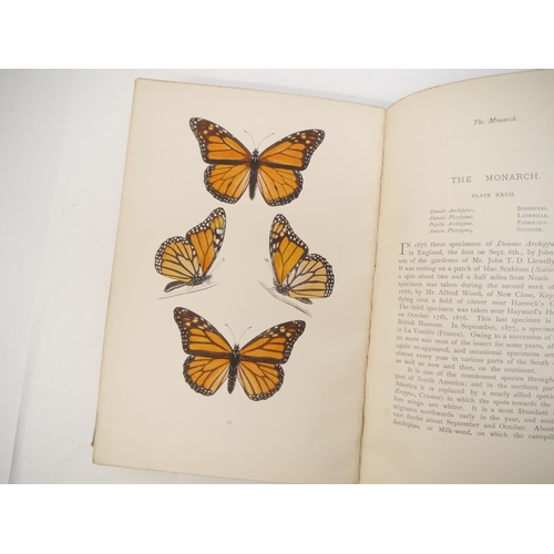 9399 - (Butterflies & Moths, Lepidoptera.) Rev. F.O. Morris, 2 titles: 'A History of British Butterflies', ... 