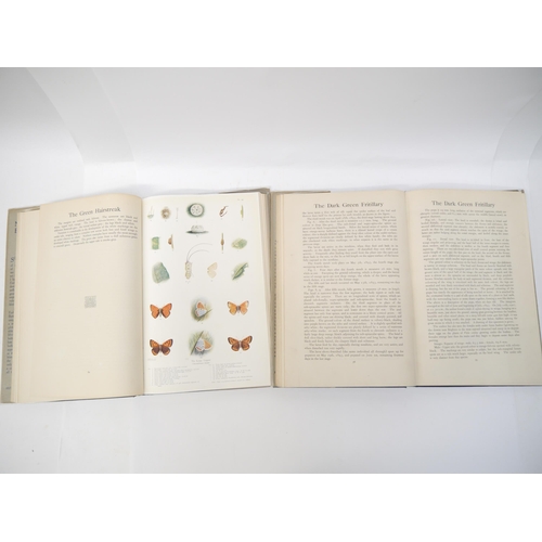 9404 - Frederick William Frohawk: 'Natural History of British Butterflies', London, Hutchinson, [1914], 1st... 