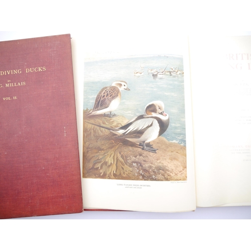 9366 - John Guille Millais: 'British Diving Ducks', London, Longmans, Green and Co., 1913, 1st edition, lim... 