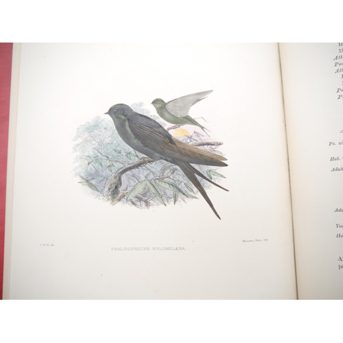 9377 - Richard Bowdler Sharpe & Claude Willmott Wyatt: 'A Monograph of the Hirundinidae, Family of Swallows... 