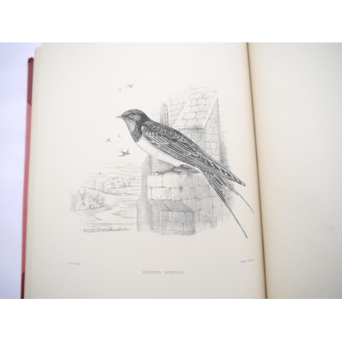 9377 - Richard Bowdler Sharpe & Claude Willmott Wyatt: 'A Monograph of the Hirundinidae, Family of Swallows... 