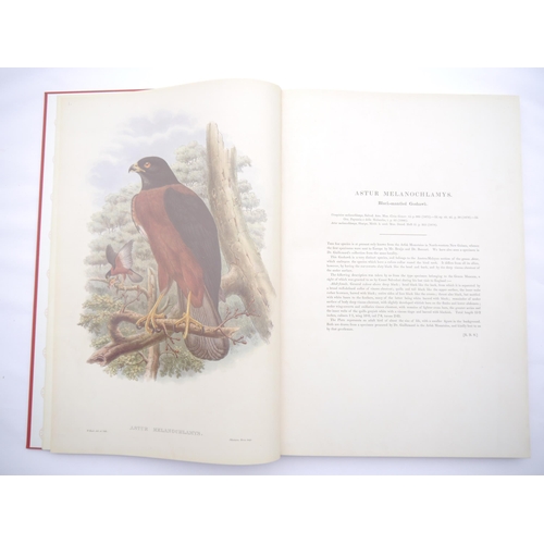 9382 - John Gould & R. R. Bowdler Sharpe: 'The Birds of New Guinea and the Adjacent Papuan Islands, includi... 